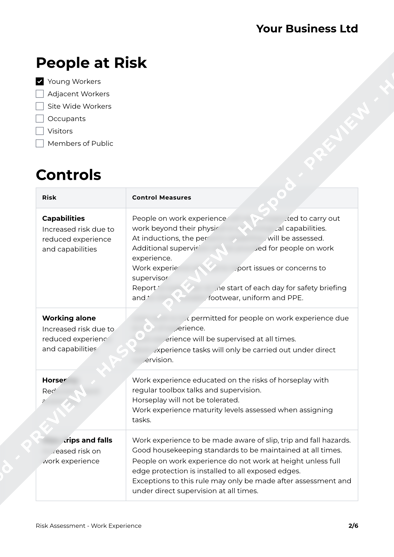 Risk Assessment Work Experience image 2